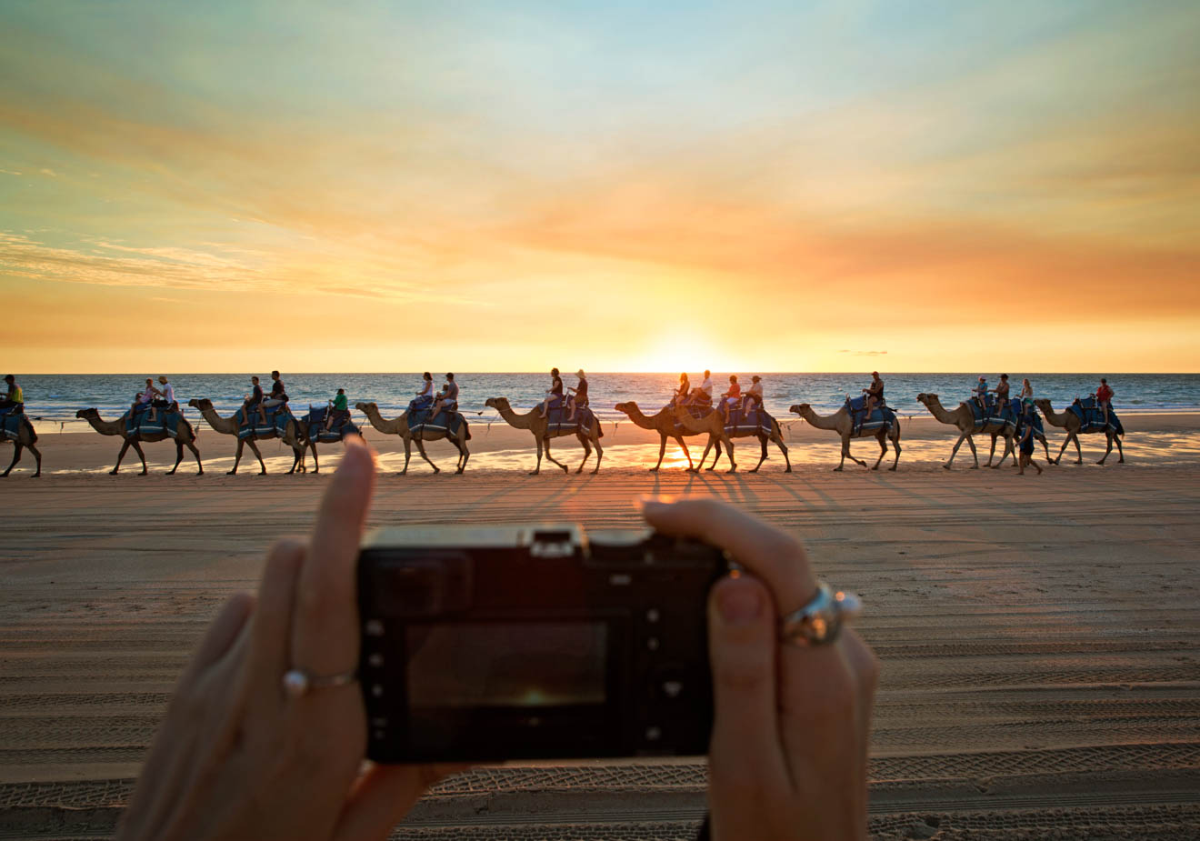 Camels at sunset free Things to Do in Broome