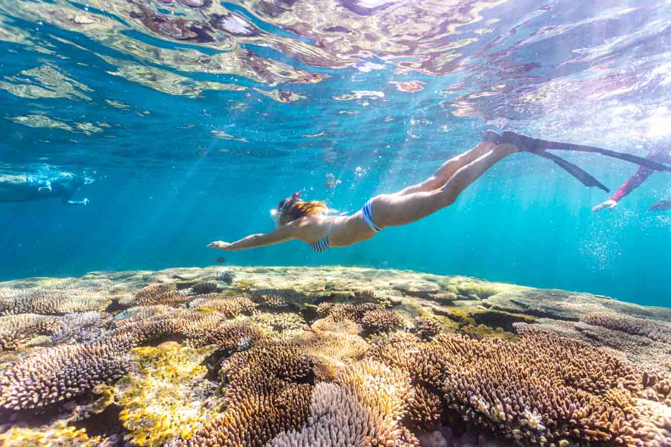 best things to do at Coral Bay Whale sharks Ningaloo