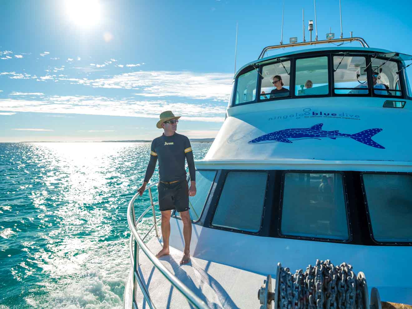 Marine Park Whale sharks Ningaloo reef tours