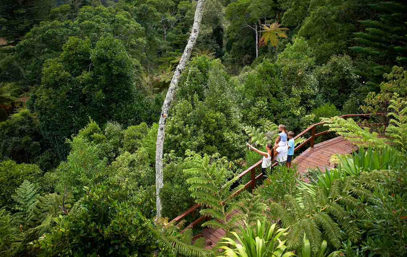 National Park Norfolk island family free Things to do