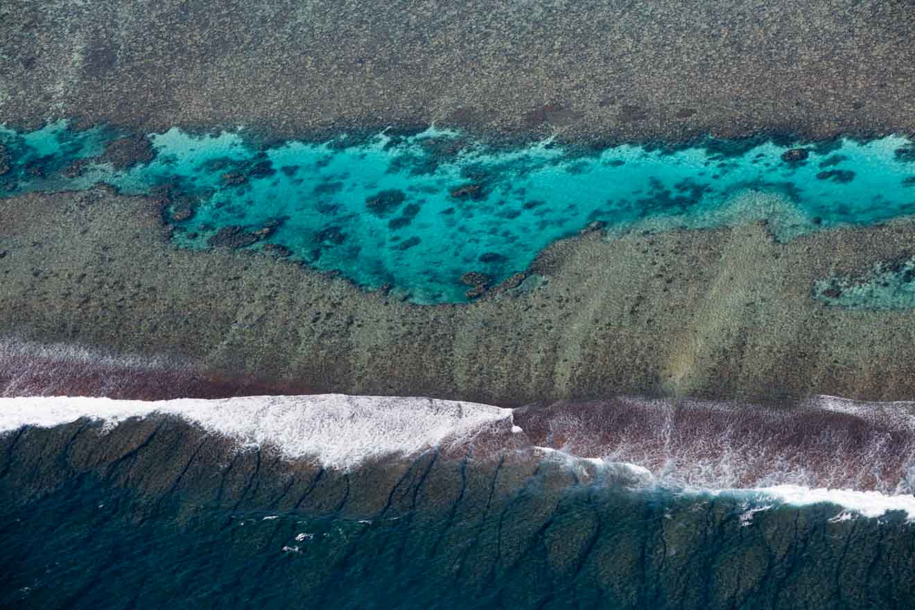 Reef coastline Whale sharks best time to visit ningaloo reef