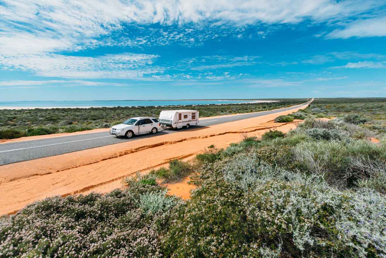 Shark bay World Heritage Area Things to do in Shark bay places to visit