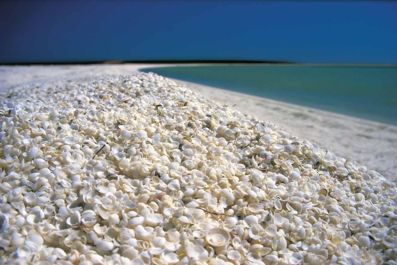 Shell Beach Western Australia Road trip planner