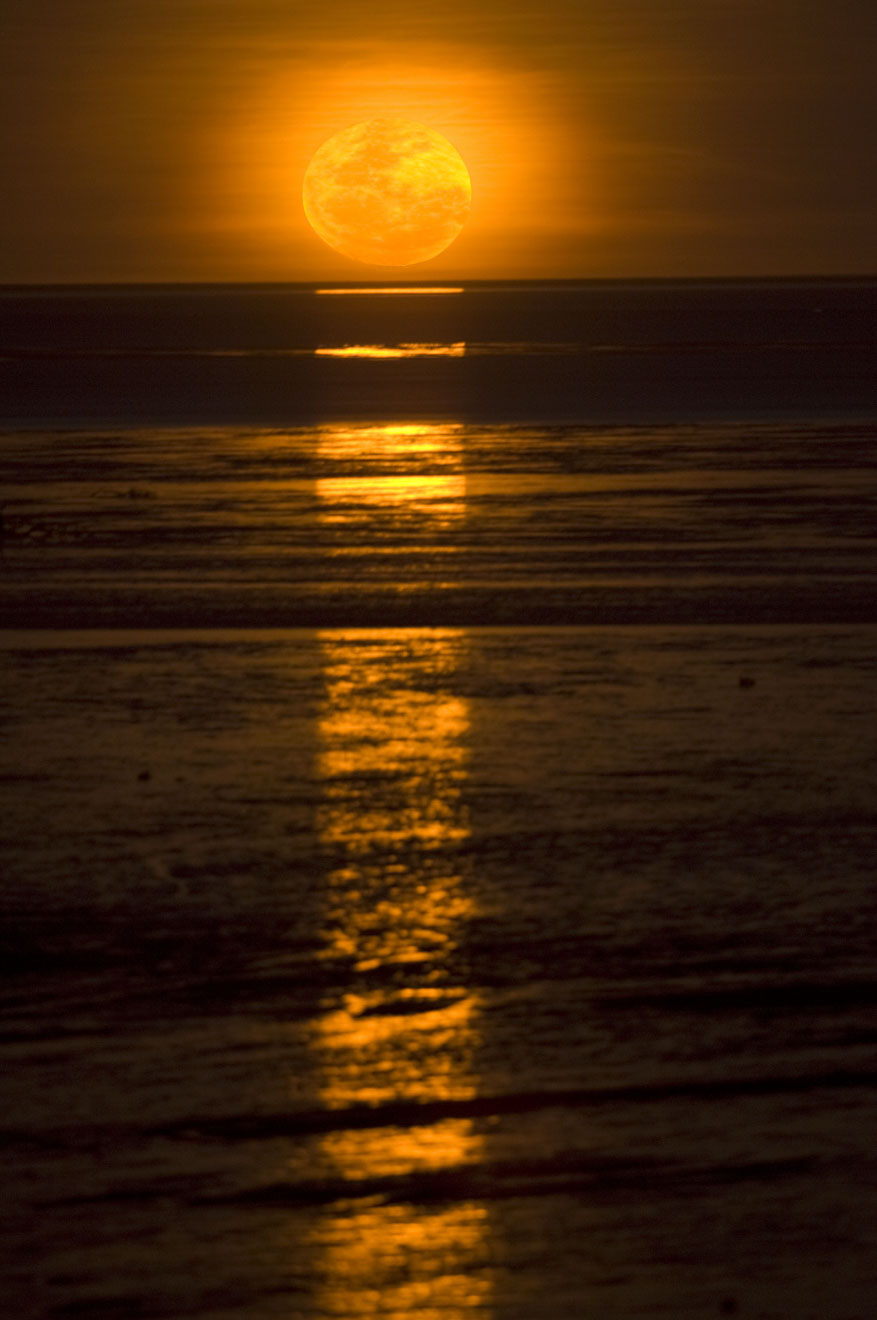 Staircase to the Moon phenomenon Things to Do in Broome in Western Australia