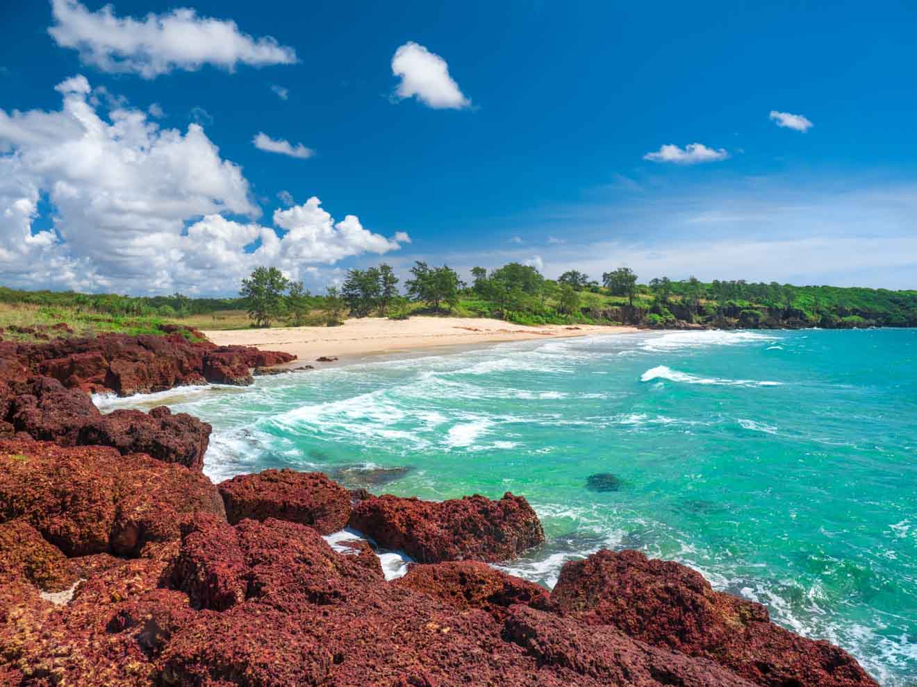 Tropical paradise in East Arnhem Land where to go