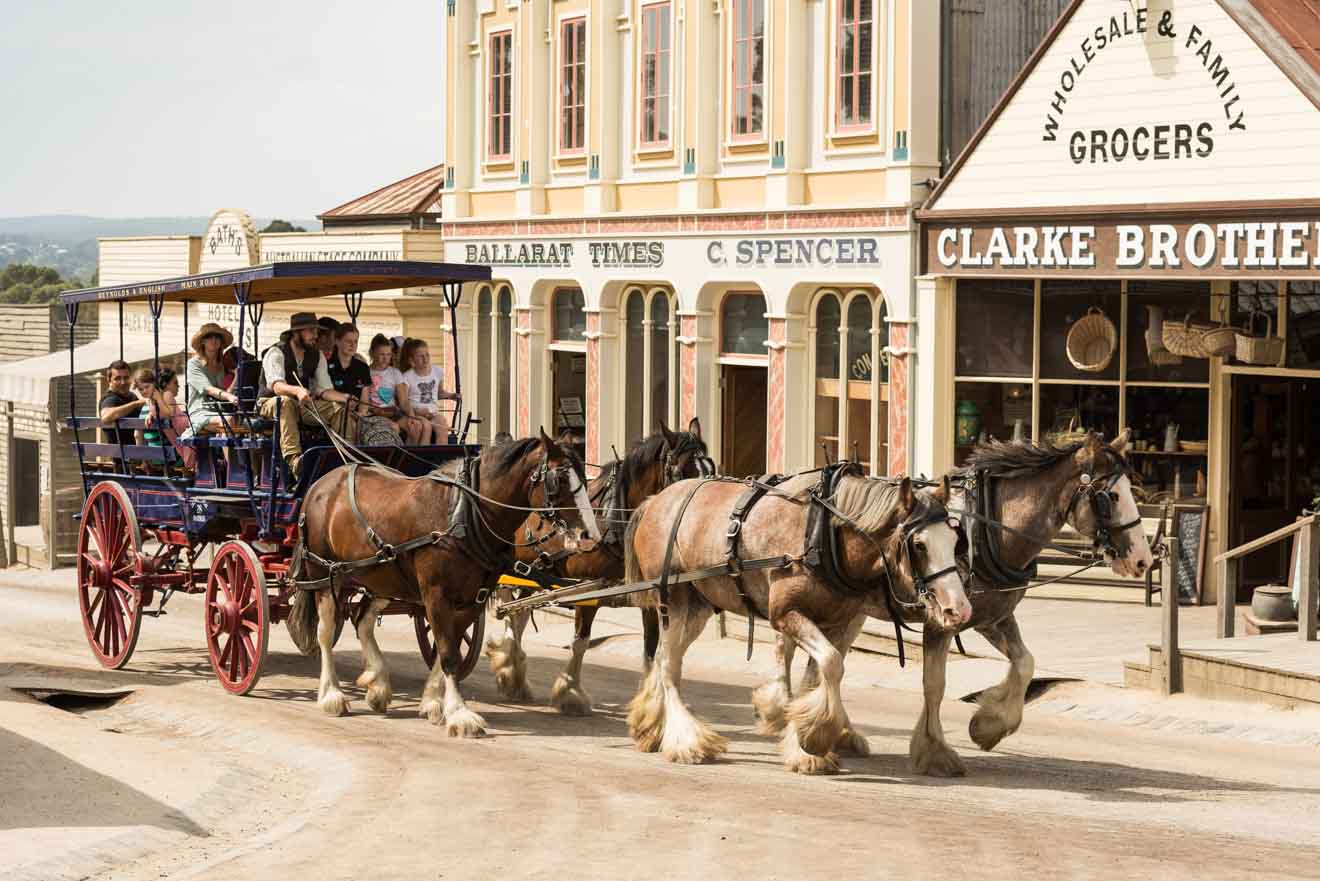 coach unusual things to do in ballarat