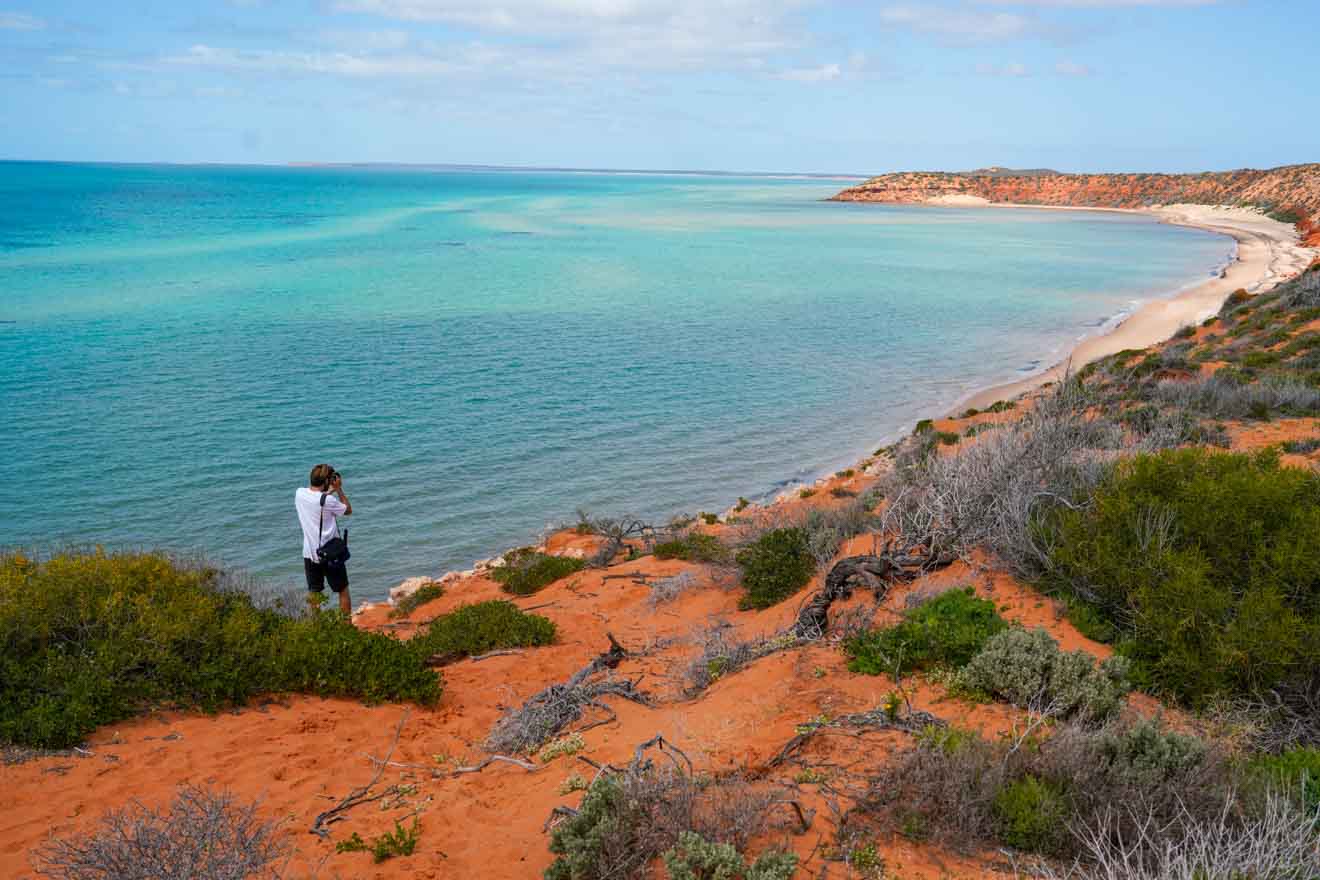 coast Things to do in Shark bay and rac monkey mia