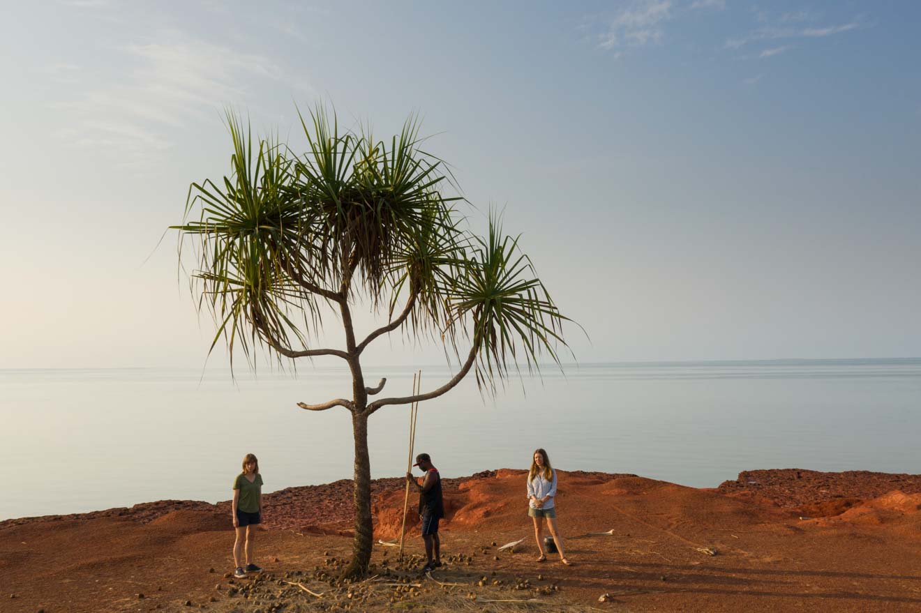 palm Arnhem Land permit to tour