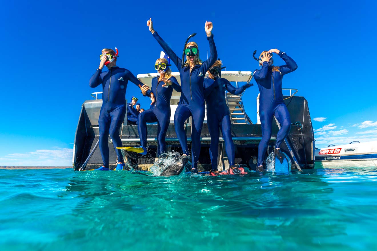 people Whale sharks n dive Ningaloo