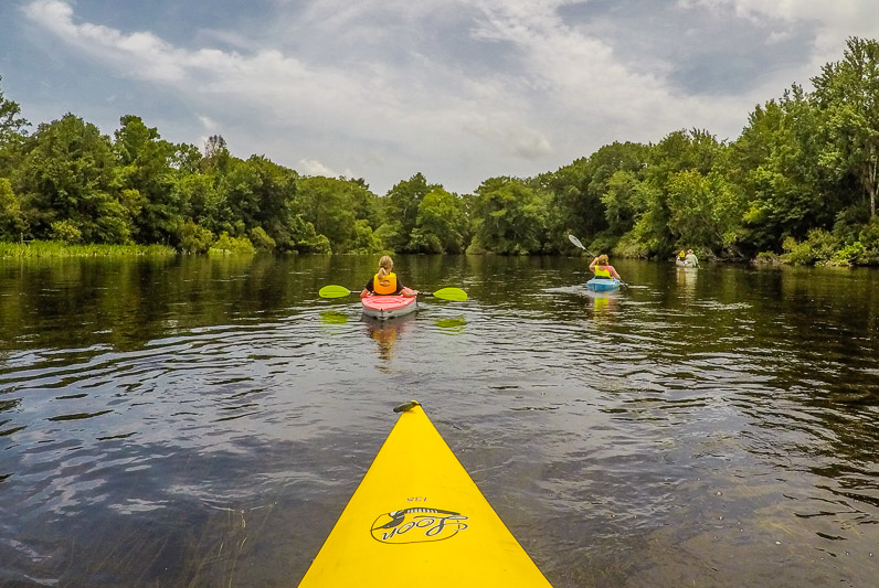 Kayaking the Aucilla River in Florida