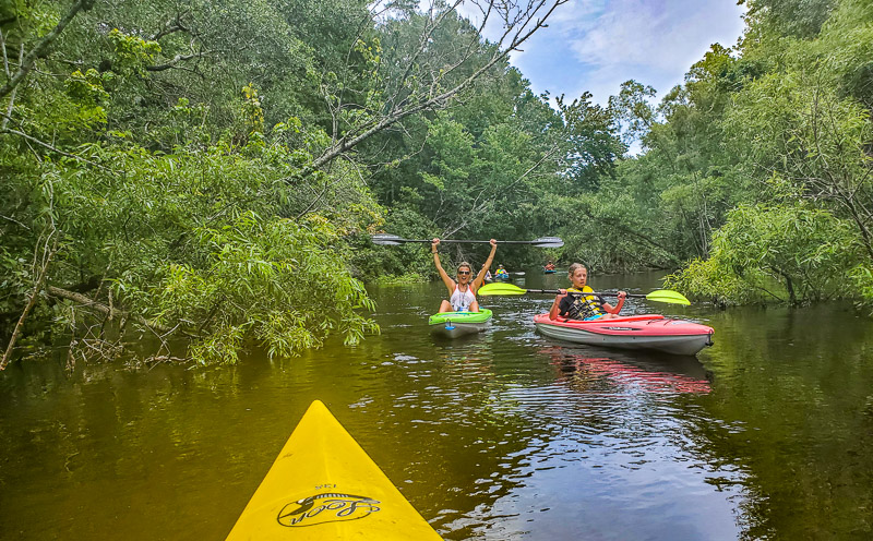 Kayaking the Aucilla River in Florida