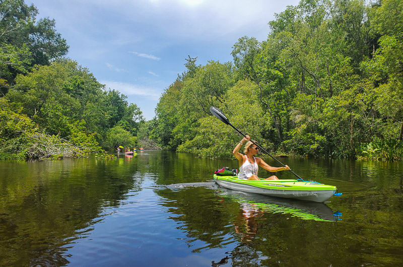 Kayaking the Aucilla River in Florida