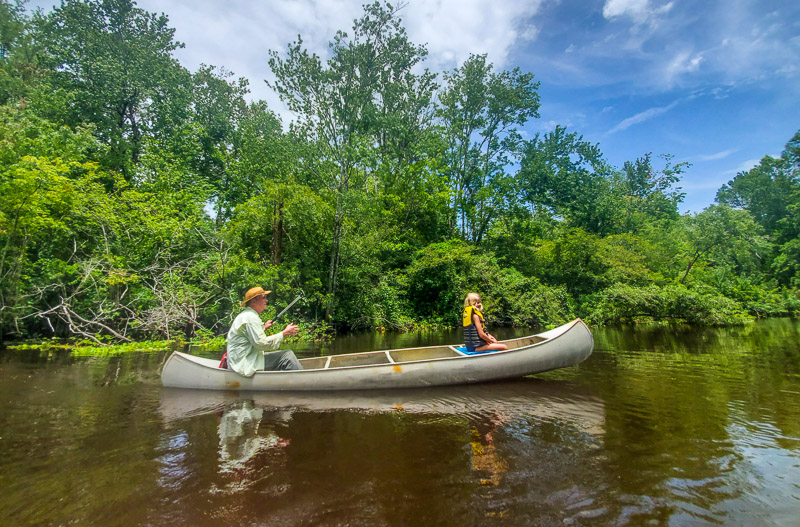 Kayaking the Aucilla River in Florida