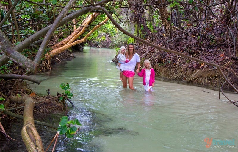 Eli Creek, Fraser Island, Australia