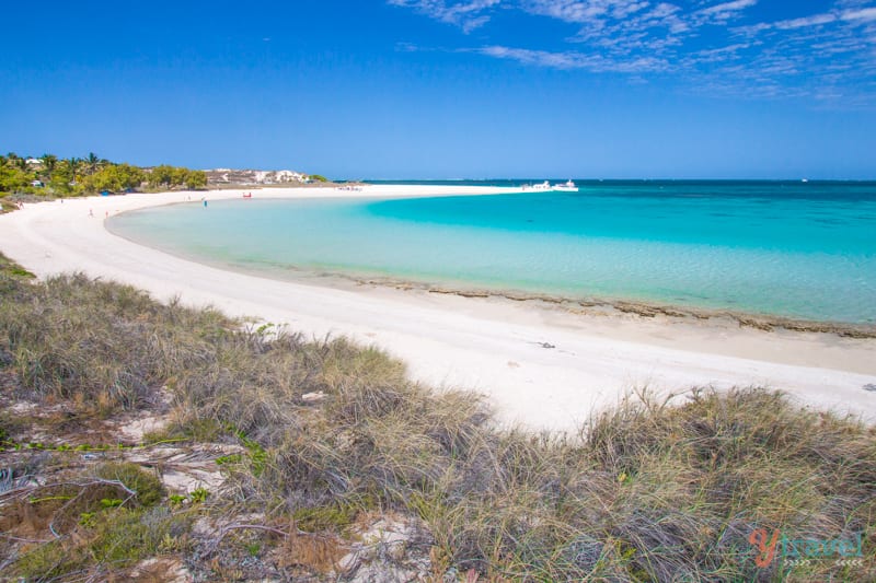 white sand and clear water of curving beach at coral bay