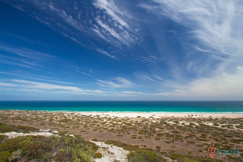 Great Australian Bight Marine Park