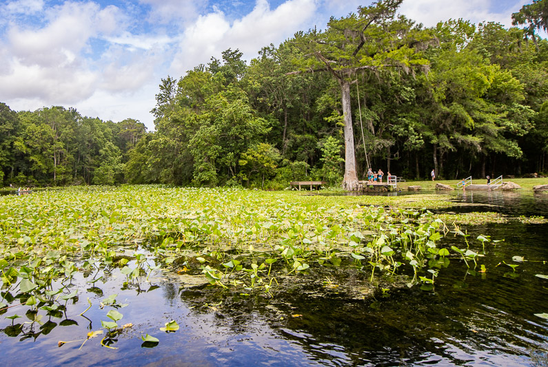 Wacissa River, Florida