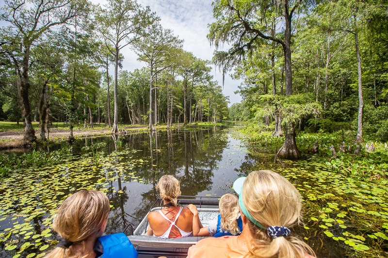 Airboat the Wacissa River, Monticello. Florida