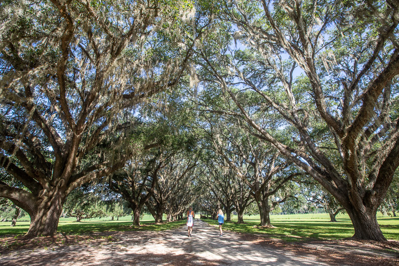 Dixie Plantation, Monticello, FLorida