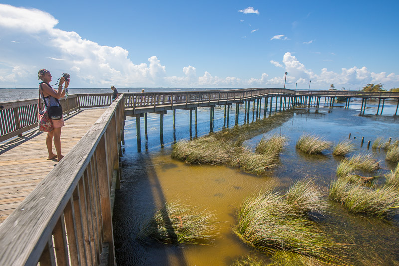 Duck Boardwalk - easy walk with kids