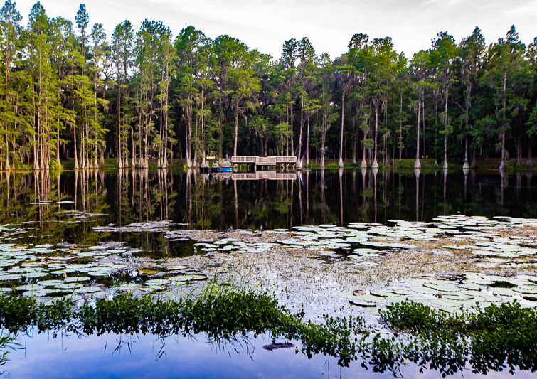 Suwanee Music Park and Campground