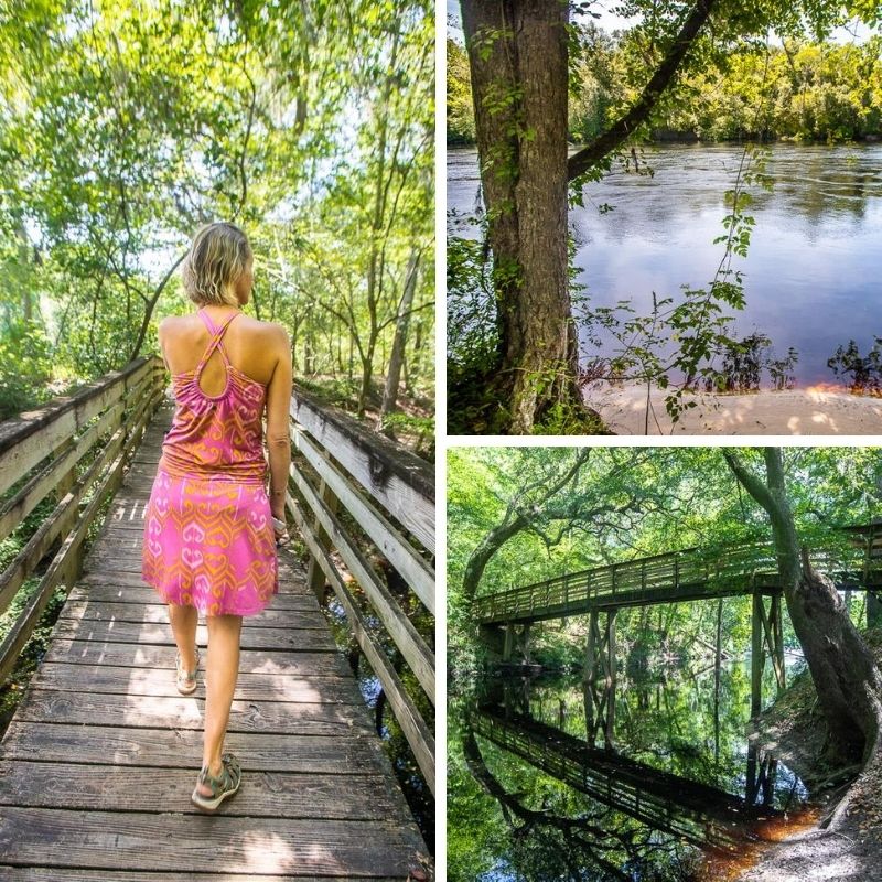 Suwannee River State Park, Florida