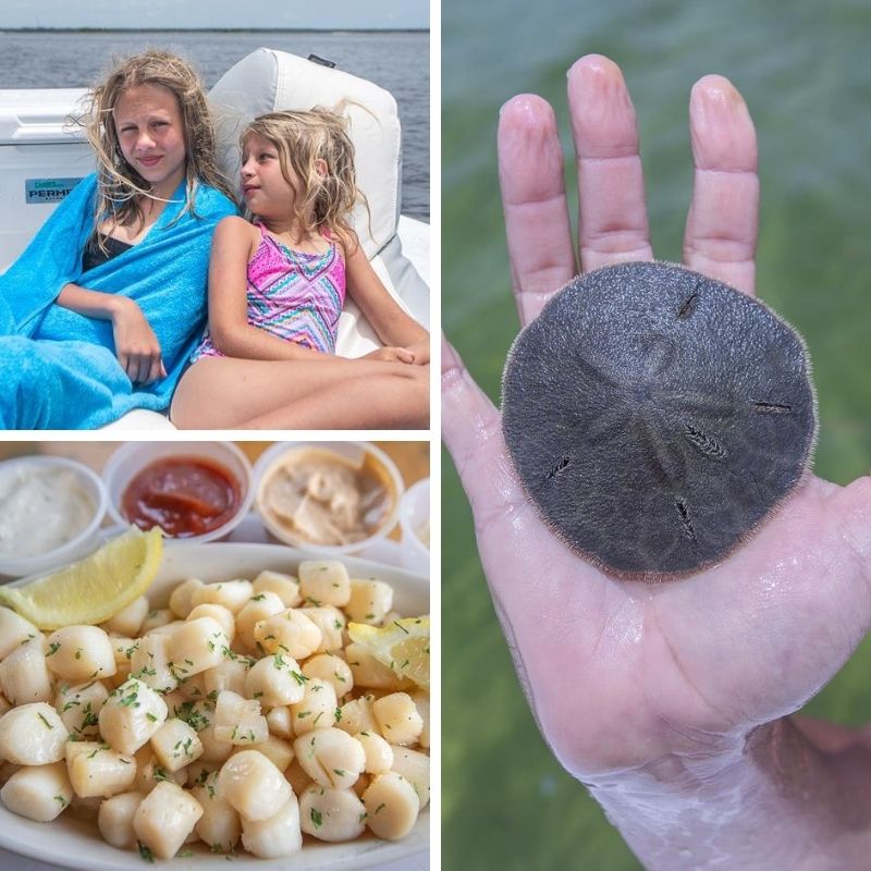 Scalloping in Steinhatchee, Florida