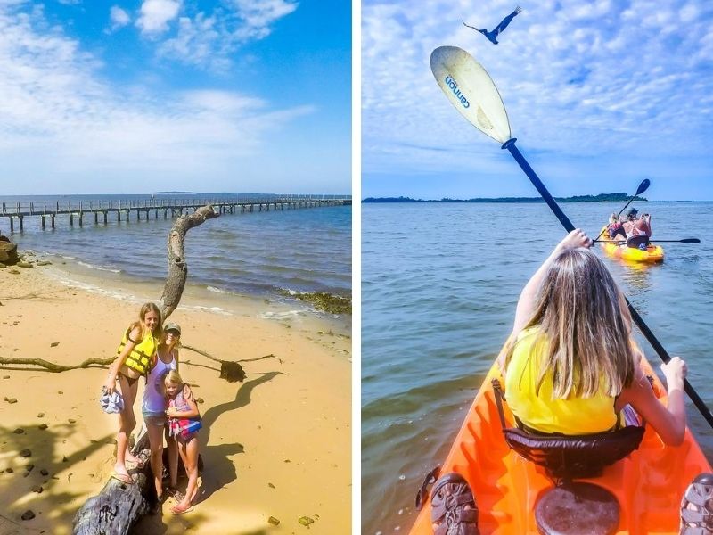 What to do in Cedar Key, Fl