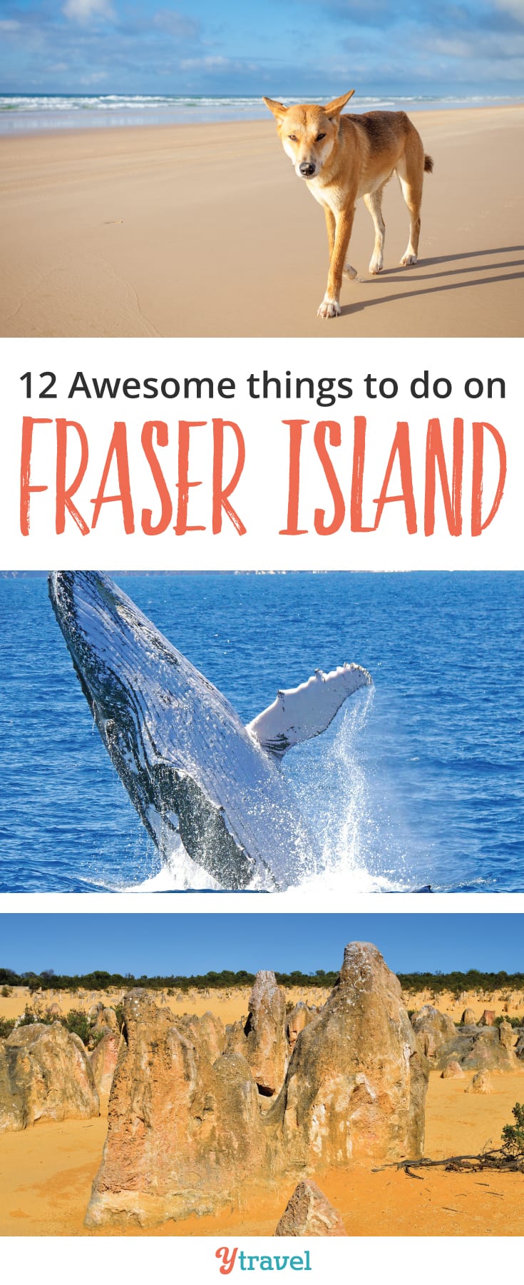 Things to do on Fraser Island: Fraser Island is the largest sand island in the world and one of the most beautiful to explore in Queensland, Australia. Check out the post for some epic adventures to have on Fraser Island including beach driving, whale watching and dingo watching.