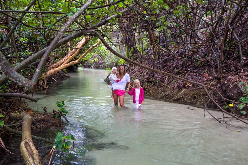 Eli Creek - one of the most popular things to do on Fraser Island in Australia