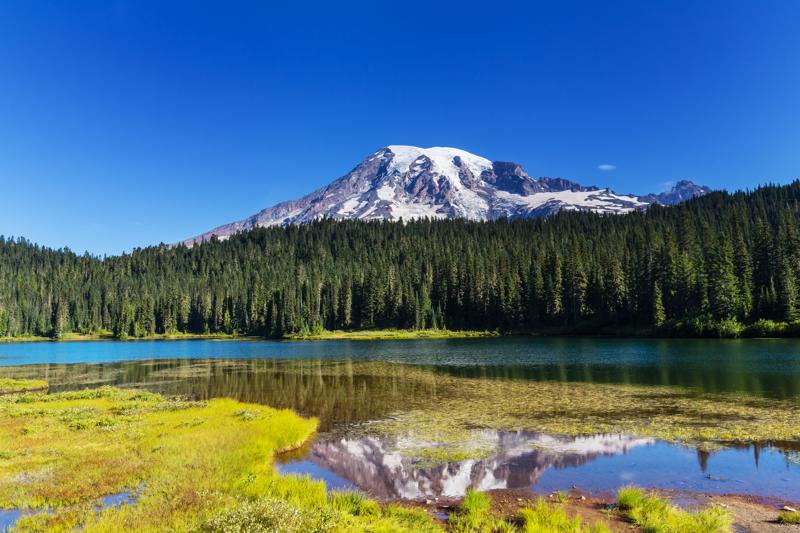 Mount Rainier national park, Washington