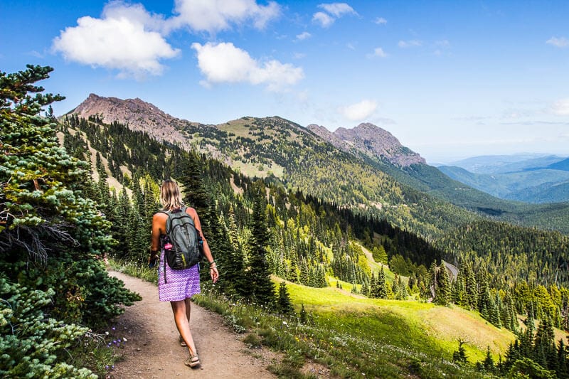 Klahhane Ridge Trail - Hurricane Ridge Things to Do in Olympic National Park