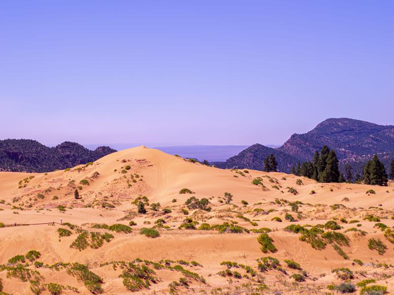 Coral Pink Sand Dunes Park, Utah.