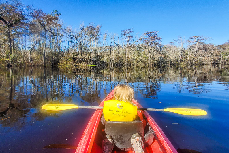 Beautiful morning paddle on the Waccamaw River