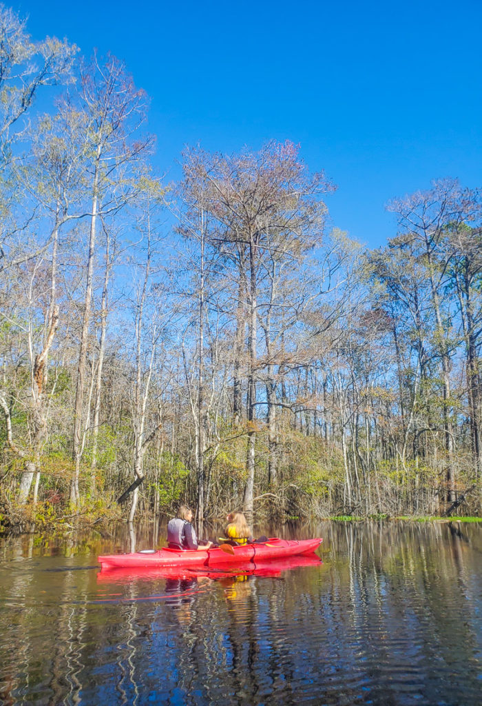 Kayaking on the Waccamaw River near Myrtle Beach