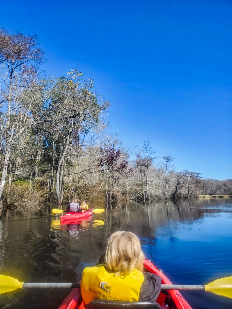 Kayaking on the Waccamaw River near Myrtle Beach