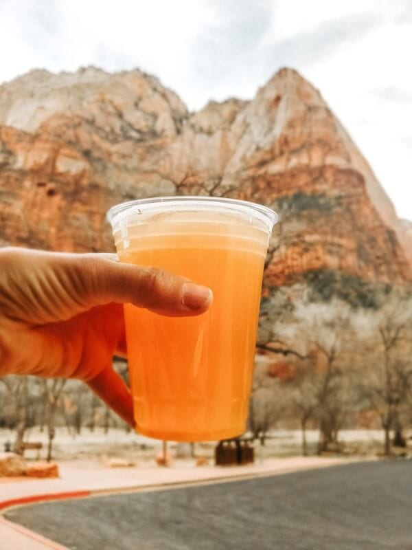 springdale ipa zion national park