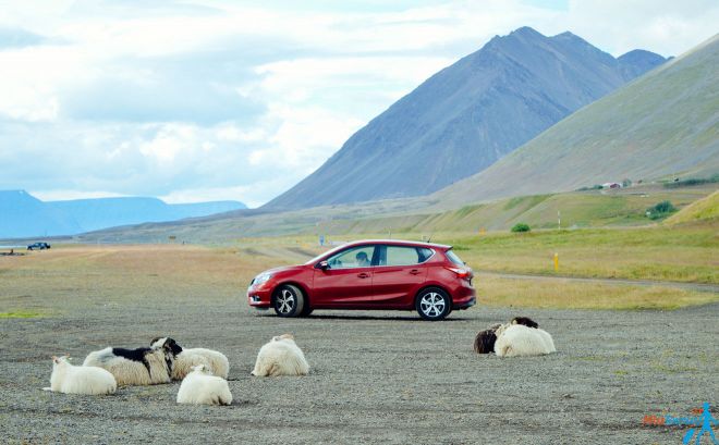 8 things you should know before renting a car in Iceland cover2