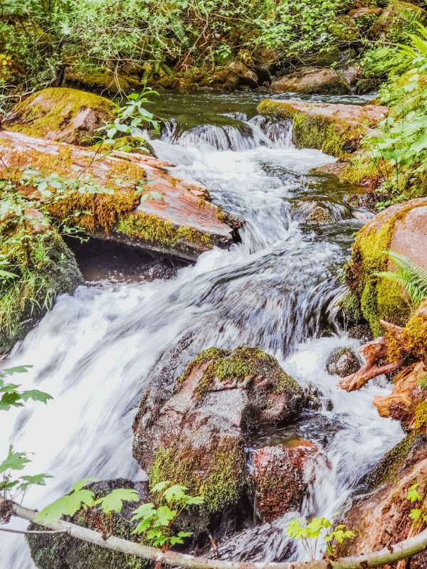 Umpqua National Forest