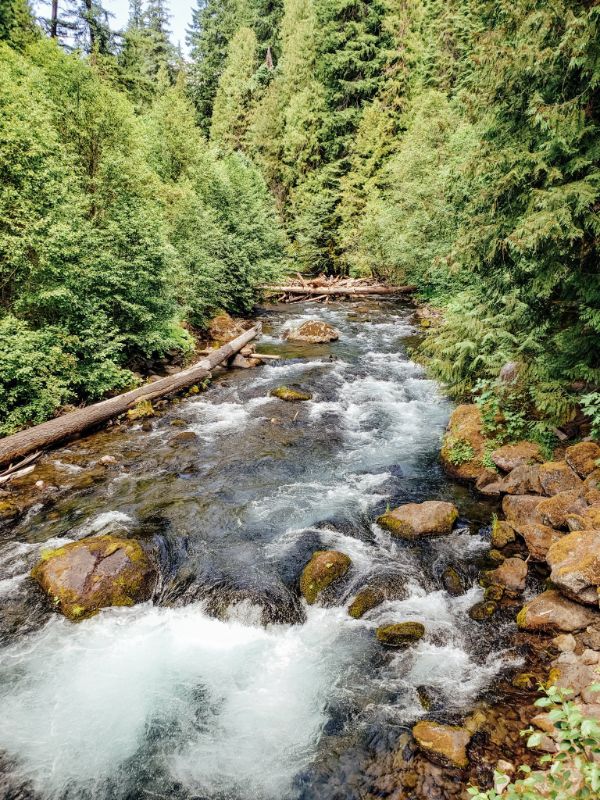 Umpqua National Forest ORegon