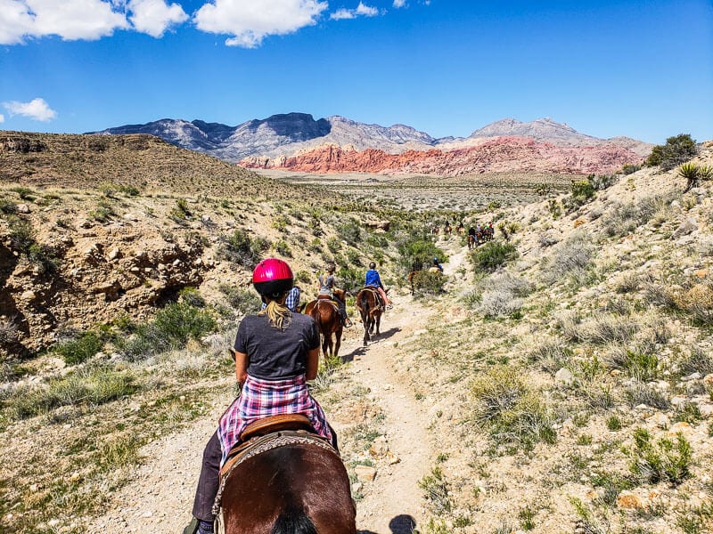 Horse Riding Red Rock Canyon