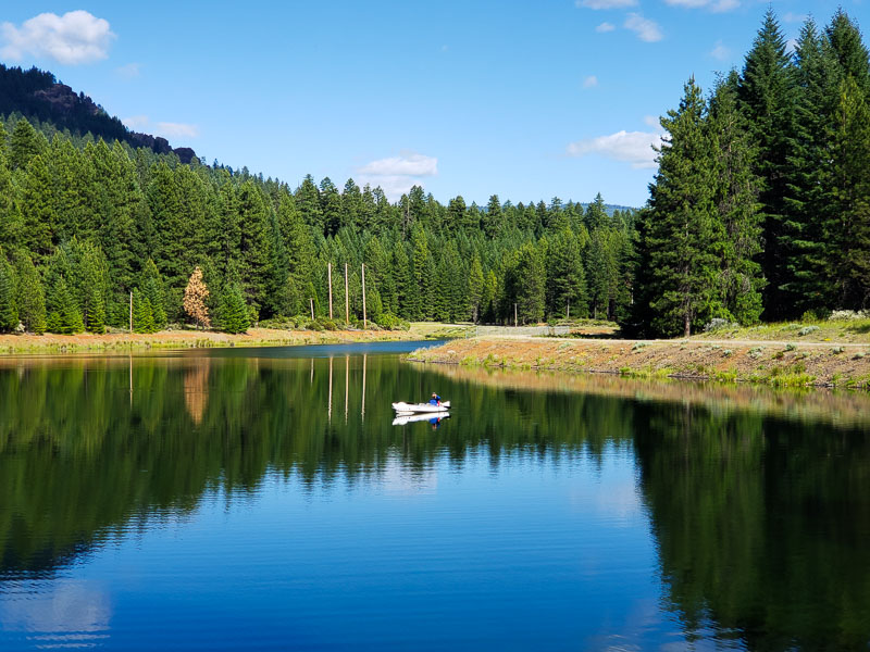 boondocking Umpqua national forest