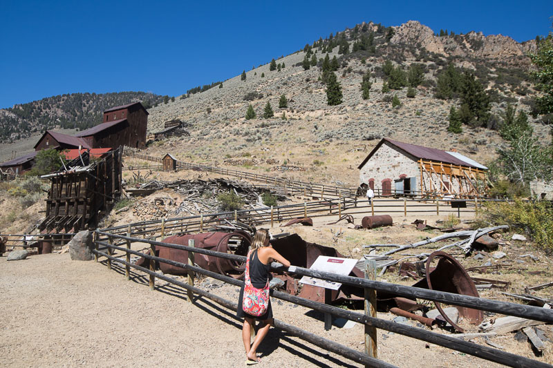 Bayhorse land of the Yankee fork idaho