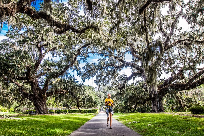 girl walking under live oak tree at Brookgreen Gardens, 