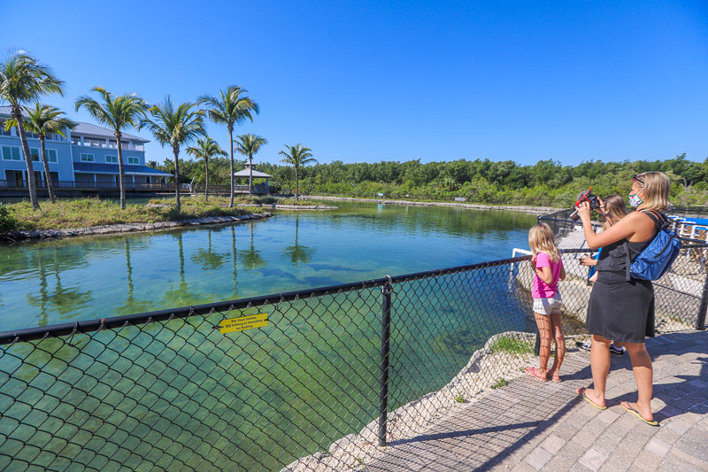 Florida Oceanographic Coastal Center, Stuart