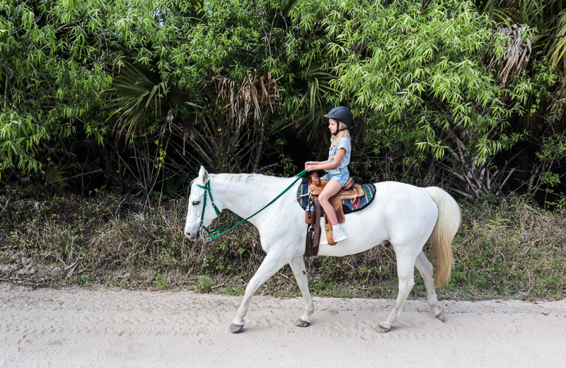 Horse ride with Greenridge Stables in Florida