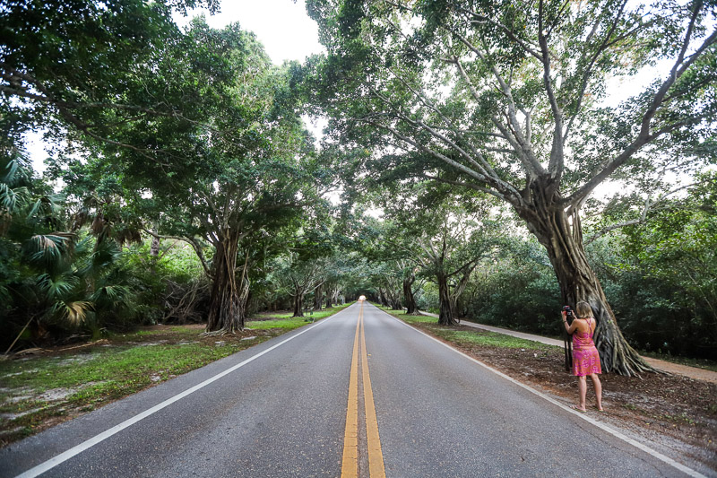 Bridge Road, Martin County