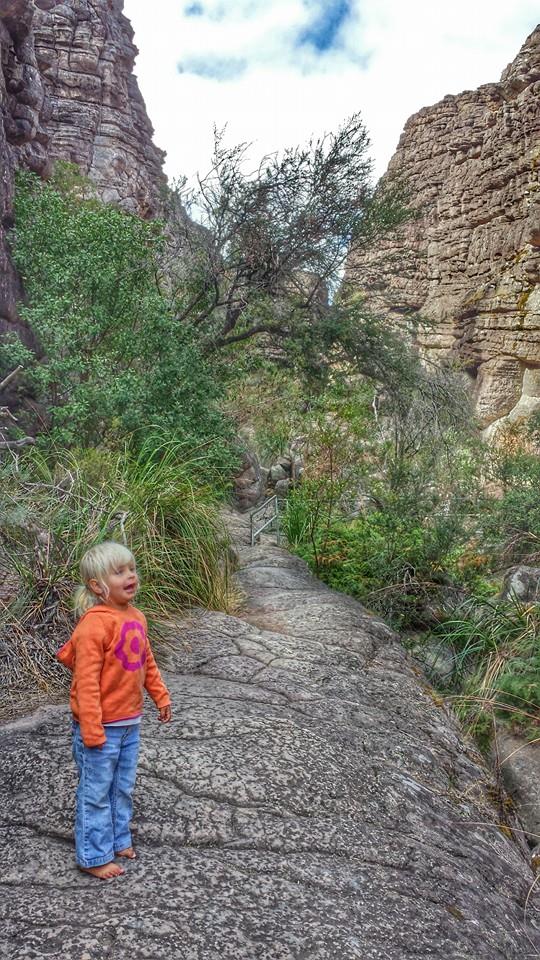 pinnacles hike grampians national park victoria australia (13)