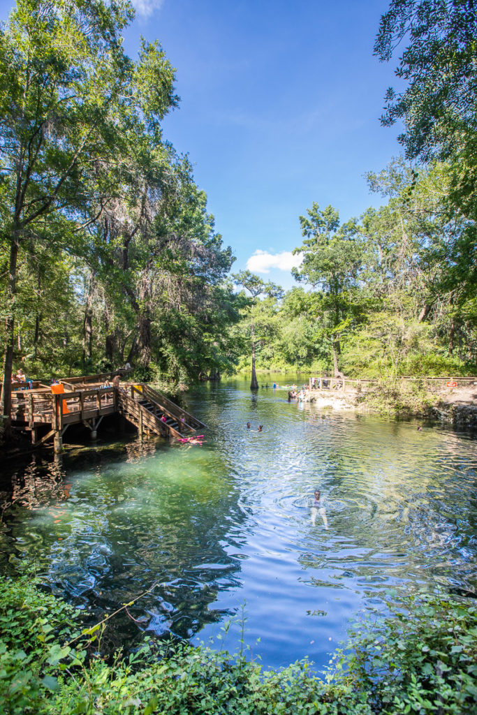 Madison Blue Springs State Park Florida