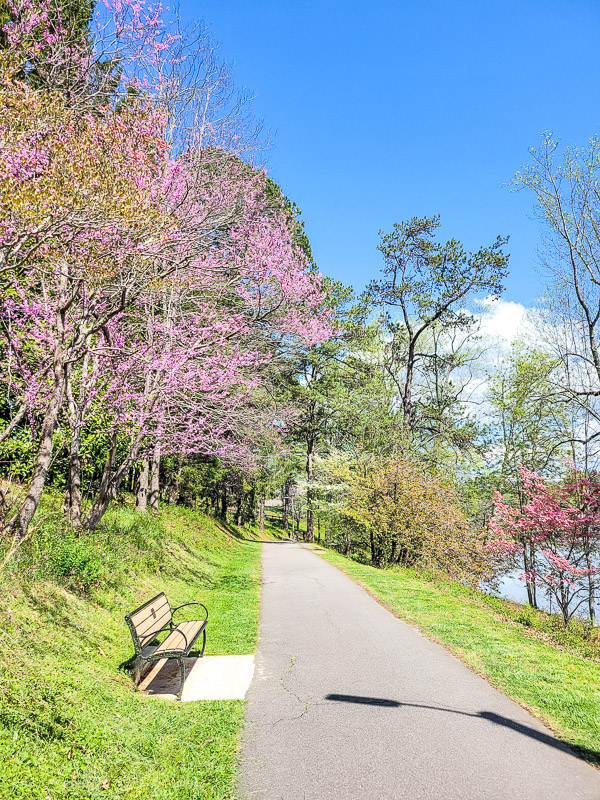 lake junaluska walking trail